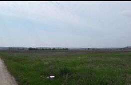 Teren intravilan, 12500 mp, Beharca