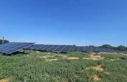 Proprietate agroindustriala, hala 1590 mp, teren 28000 mp, panouri 398 kWp