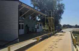 Proprietate agroindustriala, hala 1590 mp, teren 28000 mp, panouri 398 kWp