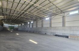 Proprietate agroindustriala, hala 1590 mp, teren 28000 mp, panouri 398 kWp