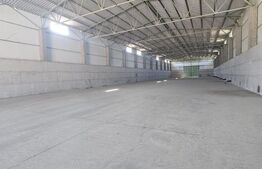 Proprietate agroindustriala, hala 1590 mp, teren 28000 mp, panouri 398 kWp