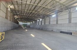 Proprietate agroindustriala, hala 1590 mp, teren 28000 mp, panouri 398 kWp