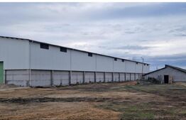 Proprietate agroindustriala, hala 1590 mp, teren 28000 mp, panouri 398 kWp