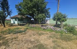 Proprietate agroindustriala, hala 1590 mp, teren 28000 mp, panouri 398 kWp