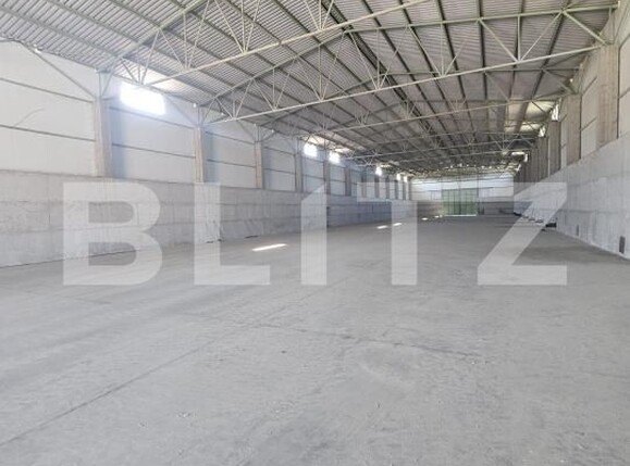 Spațiu industrial de vânzare Aeroport - 178333SVI | BLITZ Craiova | Poza8