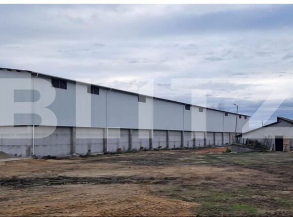 Spațiu industrial de vânzare Aeroport - 178333SVI | BLITZ Craiova | Poza3