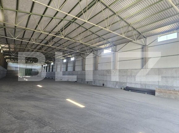 Spațiu industrial de vânzare Aeroport - 178333SVI | BLITZ Craiova | Poza2
