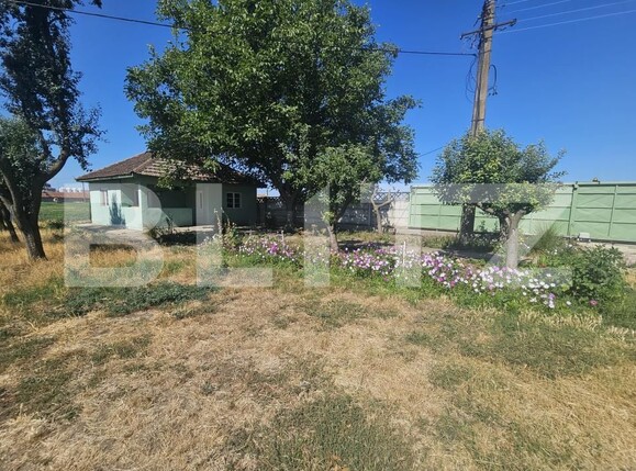 Spațiu industrial de vânzare Aeroport - 178333SVI | BLITZ Craiova | Poza19