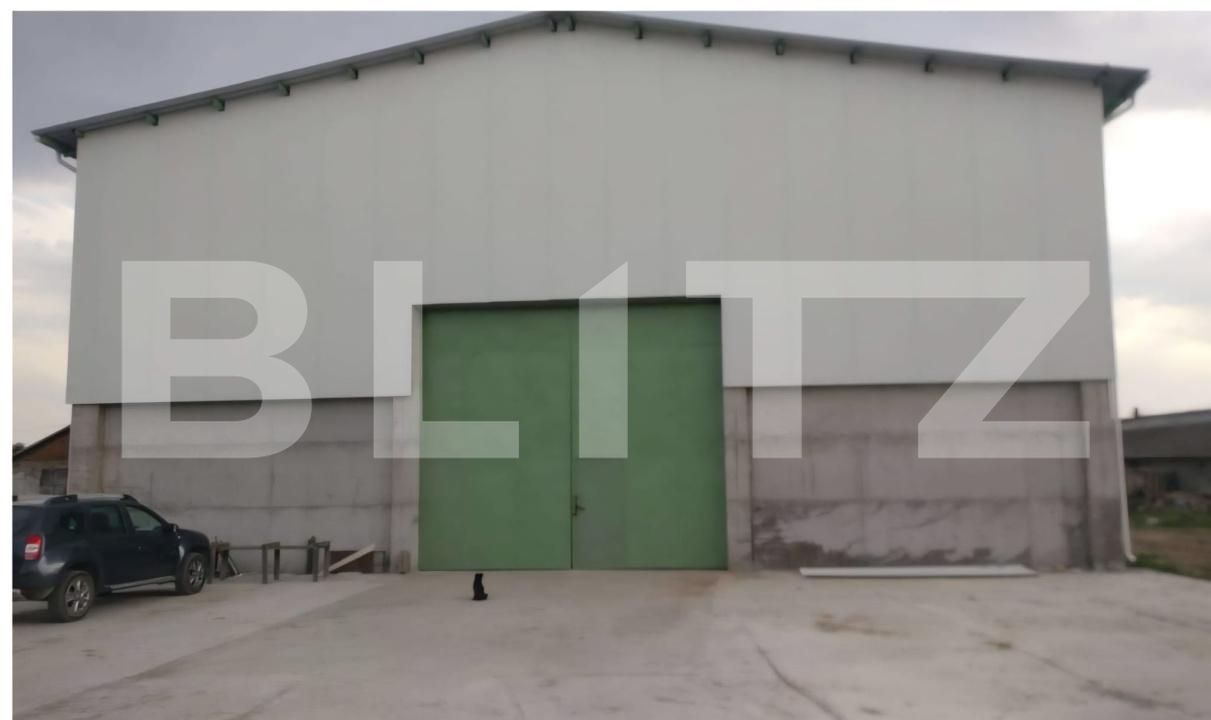 Spațiu industrial de vânzare Aeroport - 178333SVI | BLITZ Craiova | Poza7