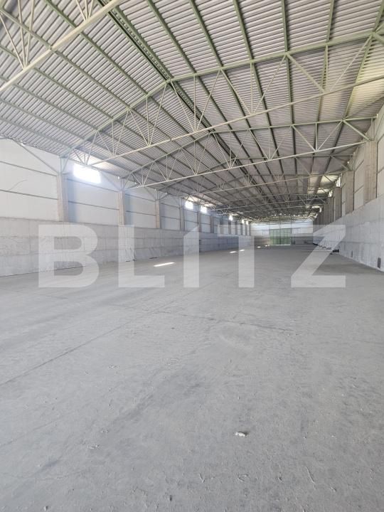 Spațiu industrial de vânzare Aeroport - 178333SVI | BLITZ Craiova | Poza8