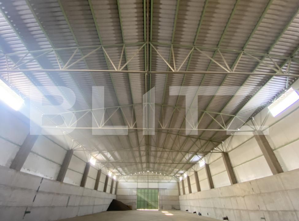 Spațiu industrial de vânzare Aeroport - 178333SVI | BLITZ Craiova | Poza9