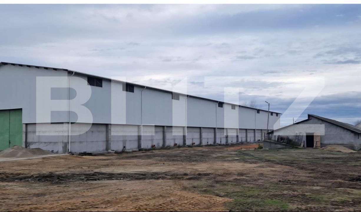 Spațiu industrial de vânzare Aeroport - 178333SVI | BLITZ Craiova | Poza3