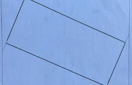 Teren intravilan 445 mp, utilități la front, Pielești - zona Magnolia