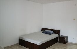 Garsoniera de vanzare, 31 mp, zona Brazda lui Novac