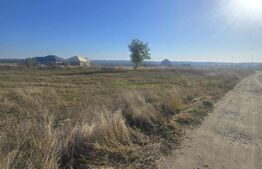 Teren 1000mp ,la intrarea in Filiasi