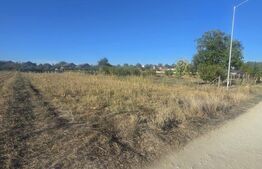 Teren 1000mp ,la intrarea in Filiasi