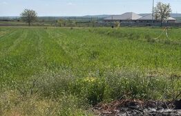 Teren 1000mp ,la intrarea in Filiasi