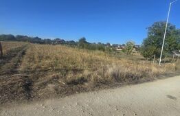 Teren 1000mp ,la intrarea in Filiasi