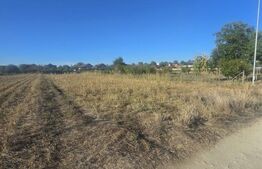 Teren 1000mp ,la intrarea in Filiasi