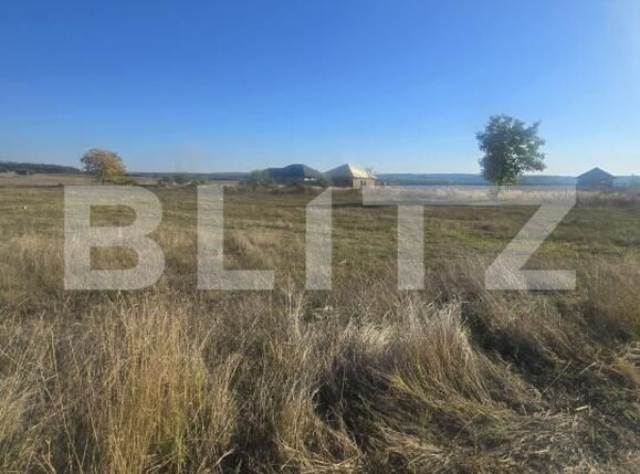 Teren de vânzare Filiaşi - 178553TV | BLITZ Craiova | Poza5