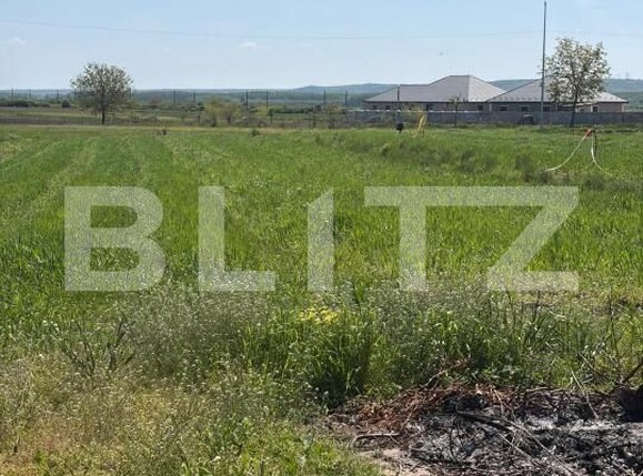 Teren de vânzare Filiaşi - 178553TV | BLITZ Craiova | Poza1