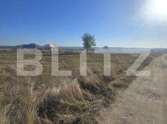 Teren de vânzare Filiaşi - 178553TV | BLITZ Craiova | Poza4