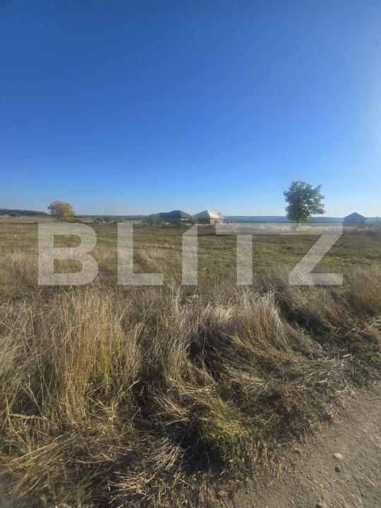 Teren de vânzare Filiaşi - 178553TV | BLITZ Craiova | Poza6