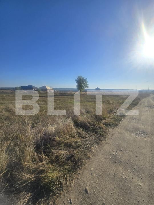 Teren de vânzare Filiaşi - 178553TV | BLITZ Craiova | Poza5