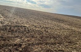 Teren de vanzare, 3.742 mp, zona Ghercesti