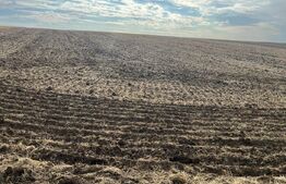 Teren de vanzare, 3.742 mp, zona Ghercesti