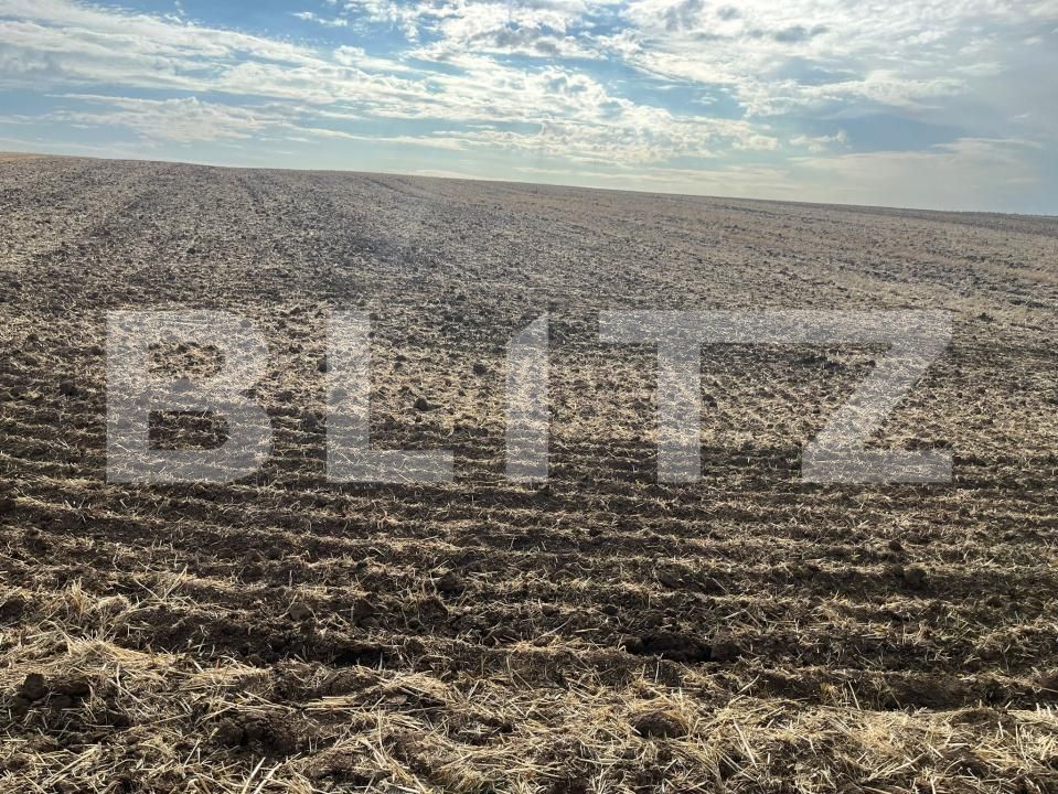 Teren de vânzare Ghercesti - 178570TV | BLITZ Craiova | Poza2