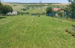 Teren intravilan de vanzare, 951 mp, Bucovat, sat Sarbatoarea