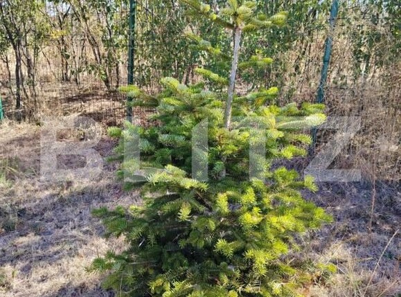 Teren de vânzare Bucovat - 178639TV | BLITZ Craiova | Poza4