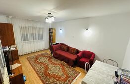 Apartament cu 2 camere, decomandat, etaj 2/4, Valea Roșie – Sărari