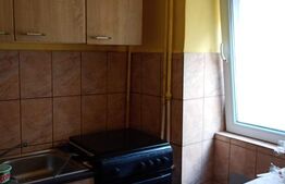 Garsoniera semidecomandata, 24 mp, zona Lapus