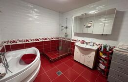 Casa P+1+M, 100 mp utili, zona Brestei