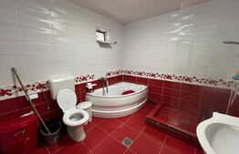 Casa P+1+M, 100 mp utili, zona Brestei