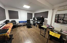 Casa P+1+M, 100 mp utili, zona Brestei