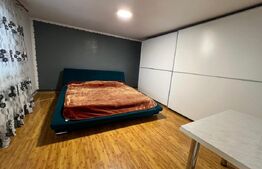 Casa P+1+M, 100 mp utili, zona Brestei