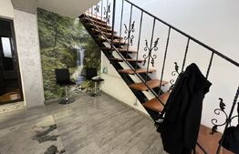 Casa P+1+M, 100 mp utili, zona Brestei