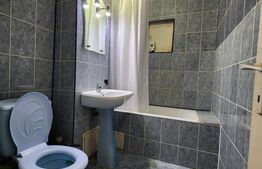 Apartament de inchiriat, 2 camere, Brazda lui Novac