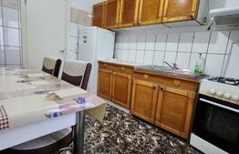 Apartament de inchiriat, 2 camere, Brazda lui Novac
