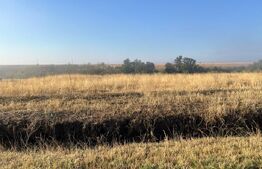 Teren intravilan, 2.500 mp, sat Sarbatoarea