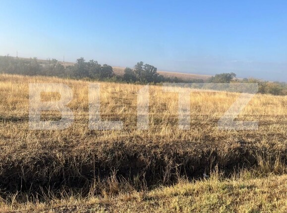 Teren de vânzare Bucovat - 178727TV | BLITZ Craiova | Poza1