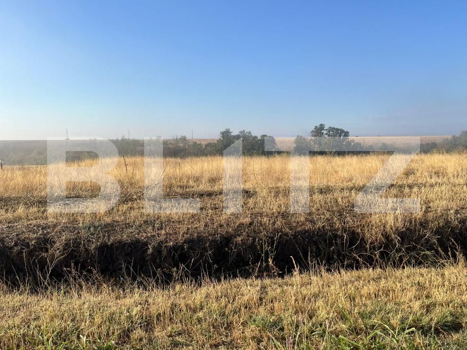 Teren de vânzare Bucovat - 178727TV | BLITZ Craiova | Poza2