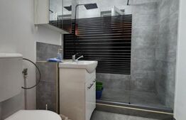 Apartament de inchiriat, 2 camere, zona Rovine