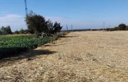 Teren Isalnita intravilan, 2500 mp, toate utilitatile