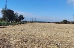 Teren Isalnita intravilan, 2500 mp, toate utilitatile