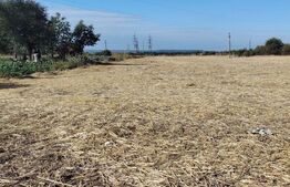 Teren Isalnita intravilan, 2500 mp, toate utilitatile