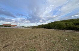 Teren in Filiasi 1000 mp / 30 ml front, toate utilitatile 